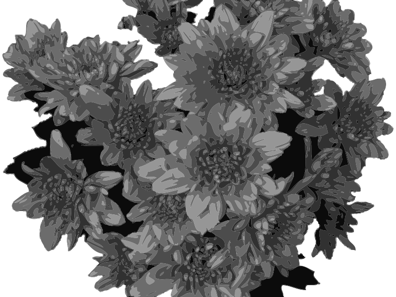 Flowers in Greyscale