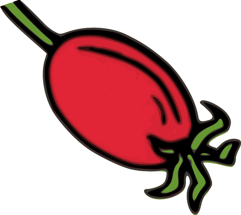 Rose Hip Fruit