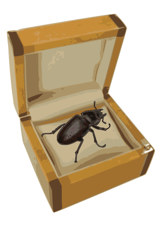 Beetle in a Box