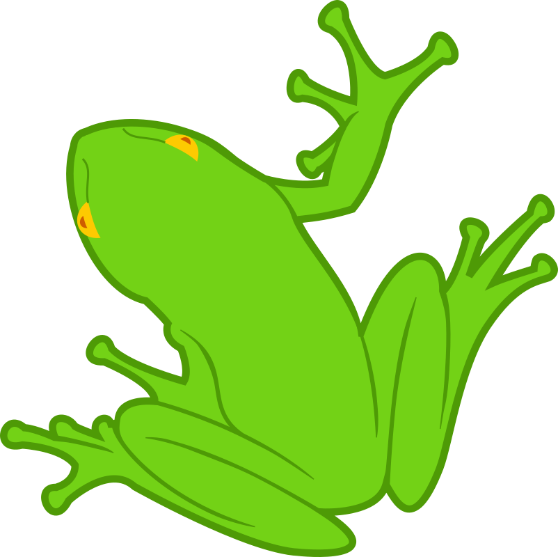 Frog 01