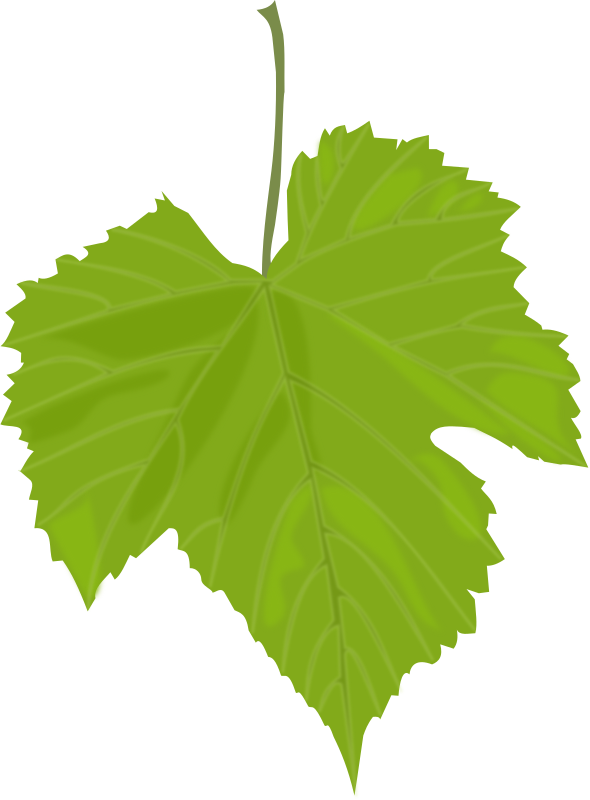 Grape Leaf