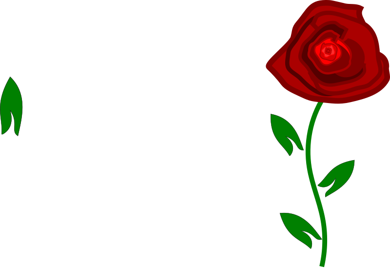 Red Rose