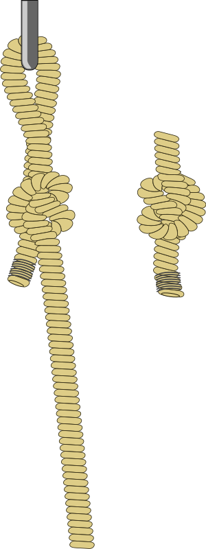 Cuerda y alcayata