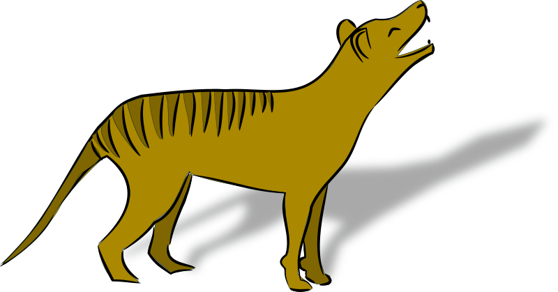 thylacine