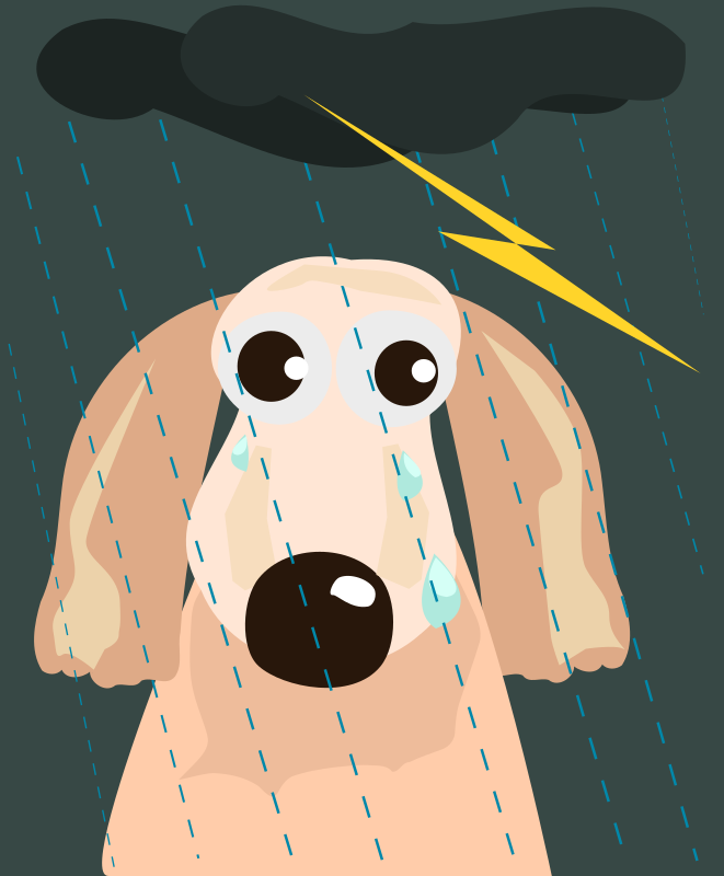 sad dog in the rain