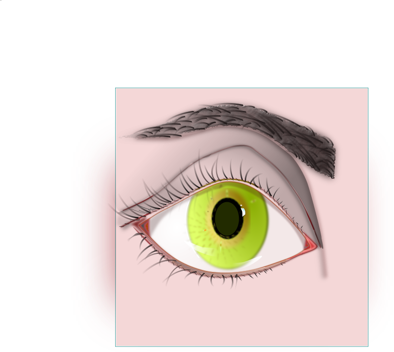 ojo-openclipart