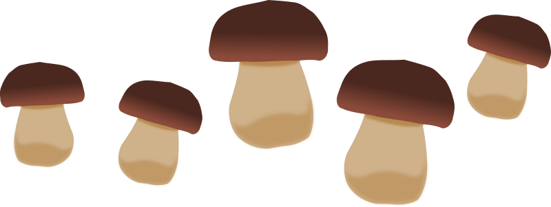 Mushrooms 3