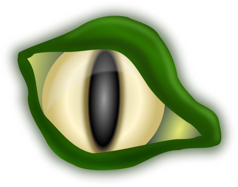 Croc eye