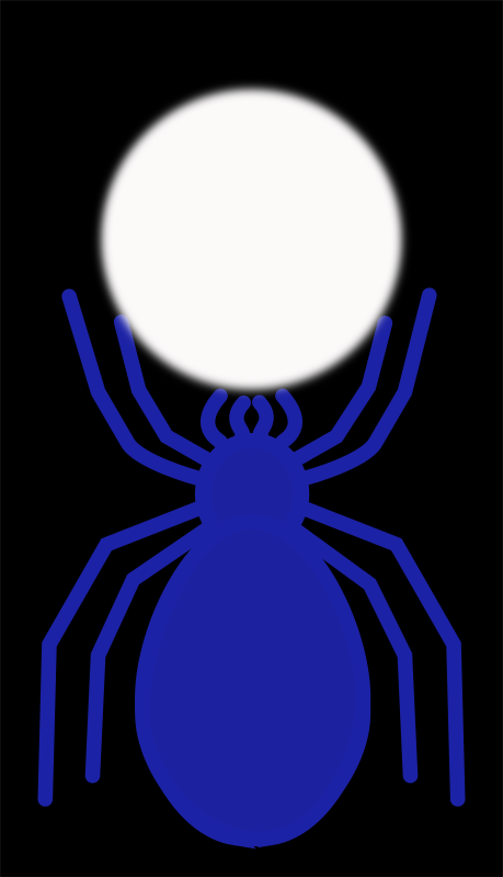 AraÃ±a azul