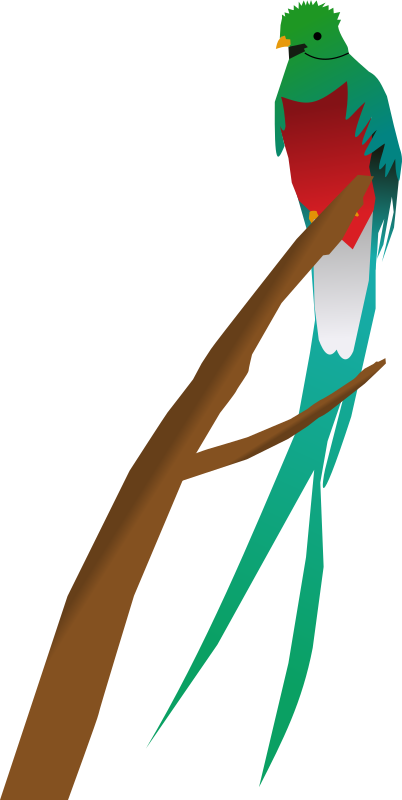 Quetzal