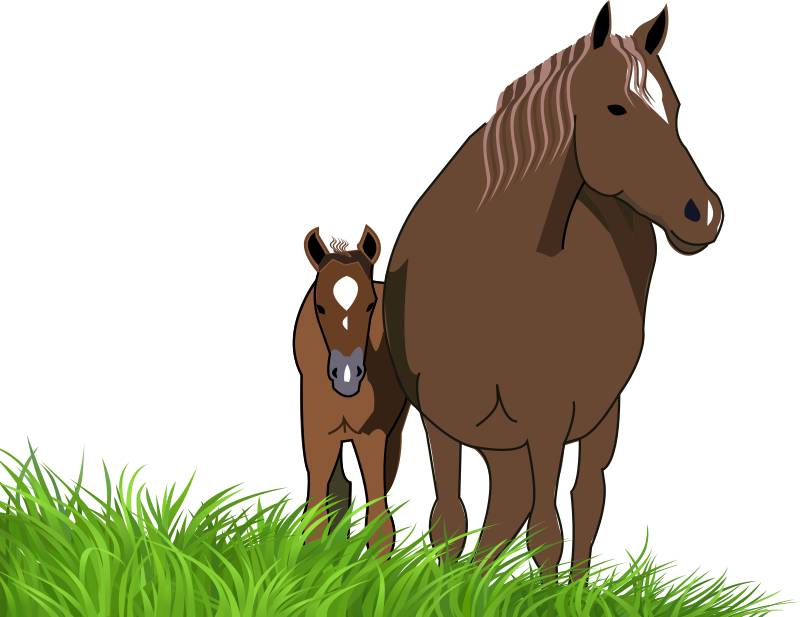 mare and foal