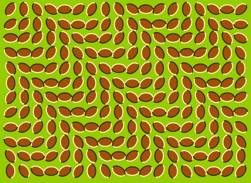 Optical Illusion 1