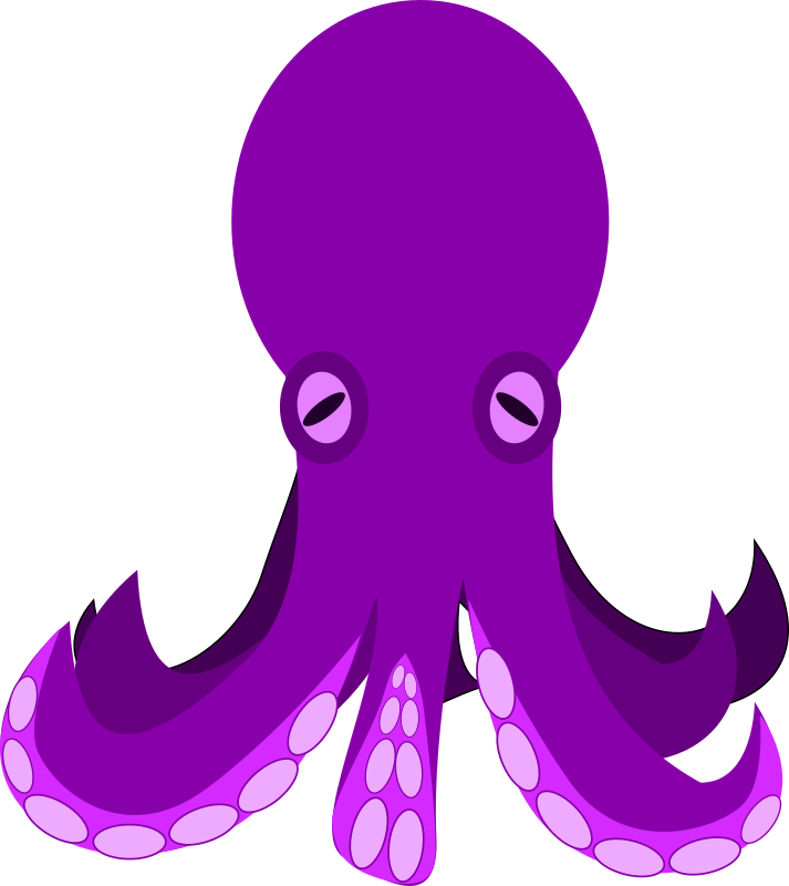 octopus