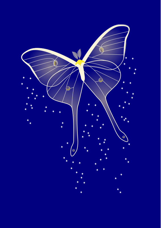 bright butterfly