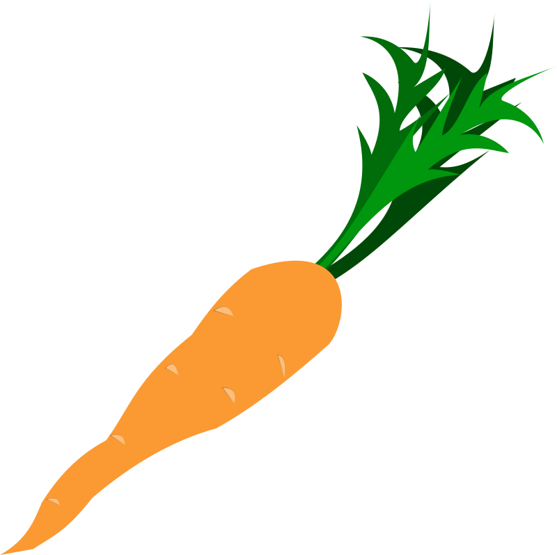 Carrot