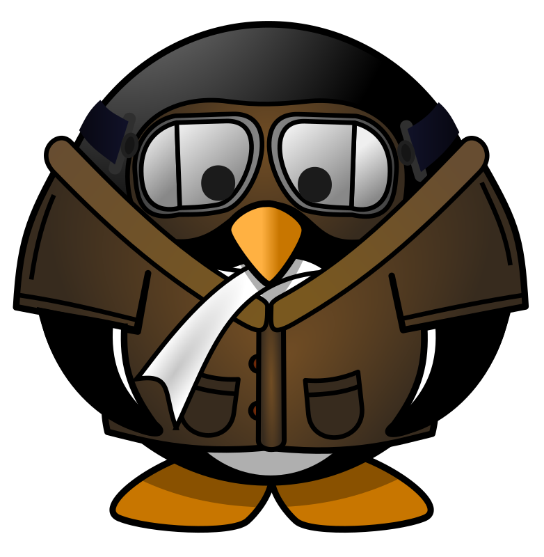 Pilot Penguin