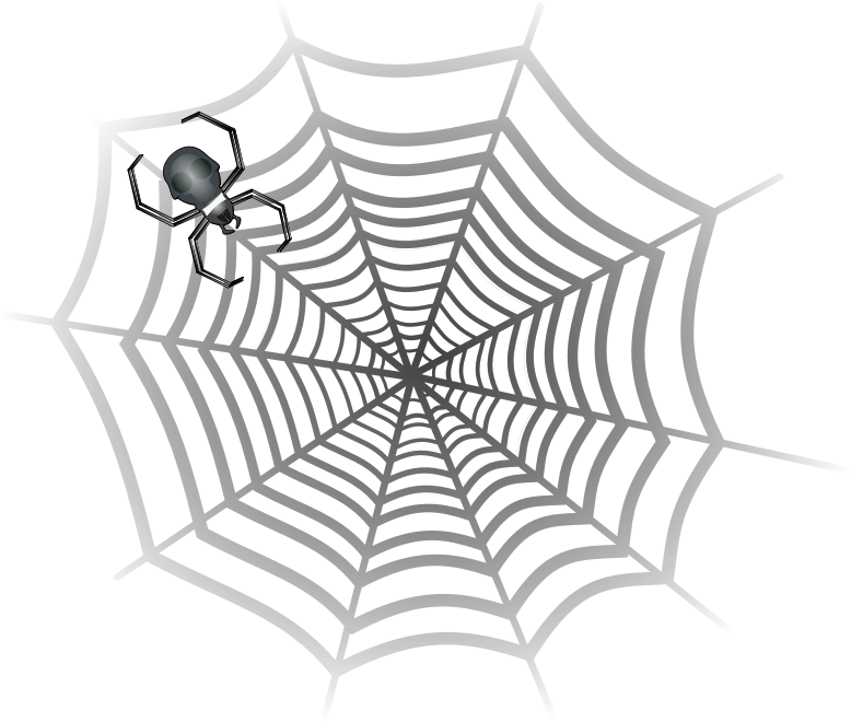 spider web