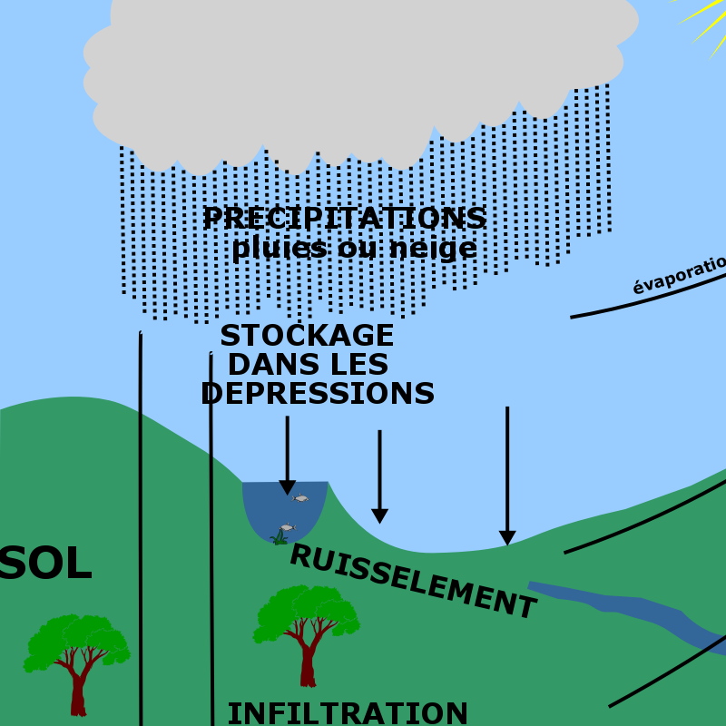 laurent-9ef03e