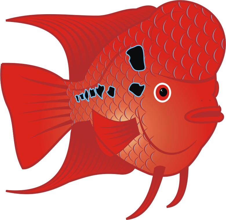 Red Goldfish