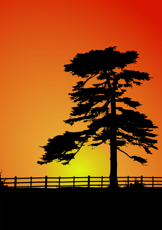 Cedar Sunset - Openclipart