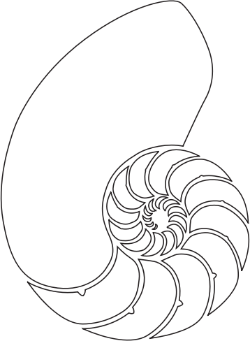 Nautilus Shell