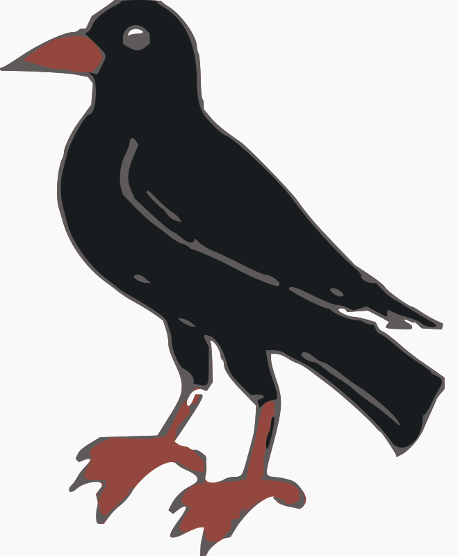 crow