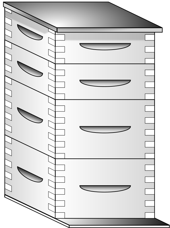 Langstroth Hive