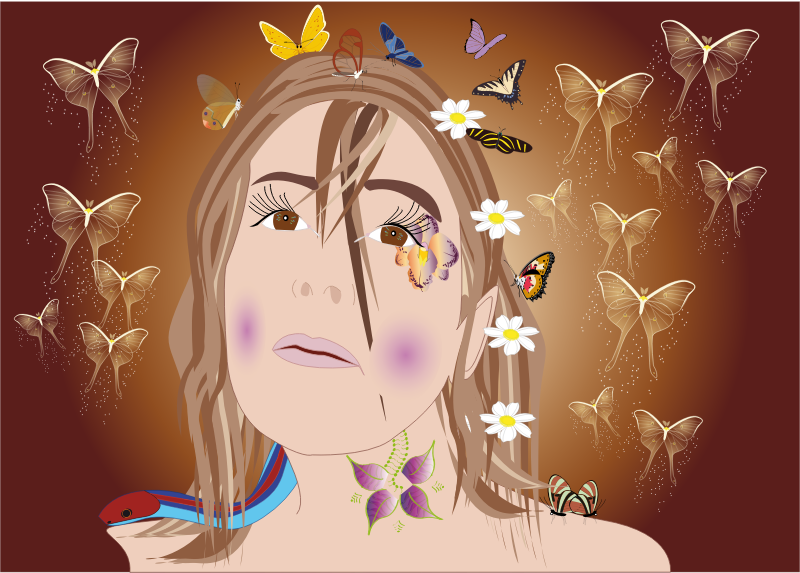 Zahira fairy butterflies