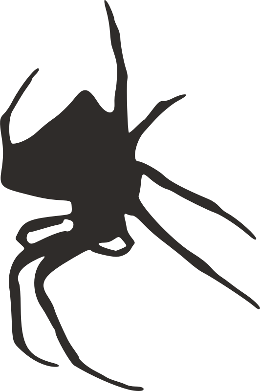 Spider silhouette