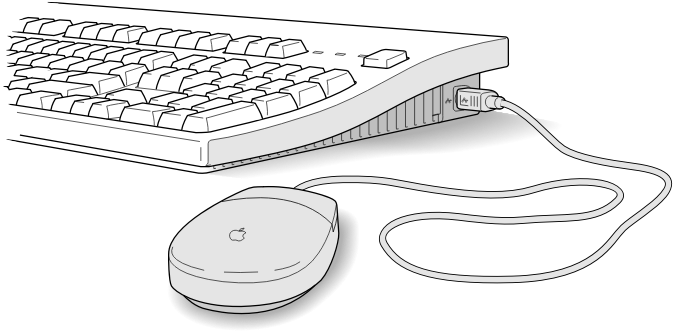 keyboard mouse