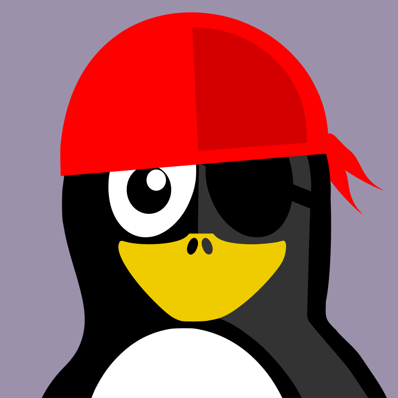 Pirate Penguin