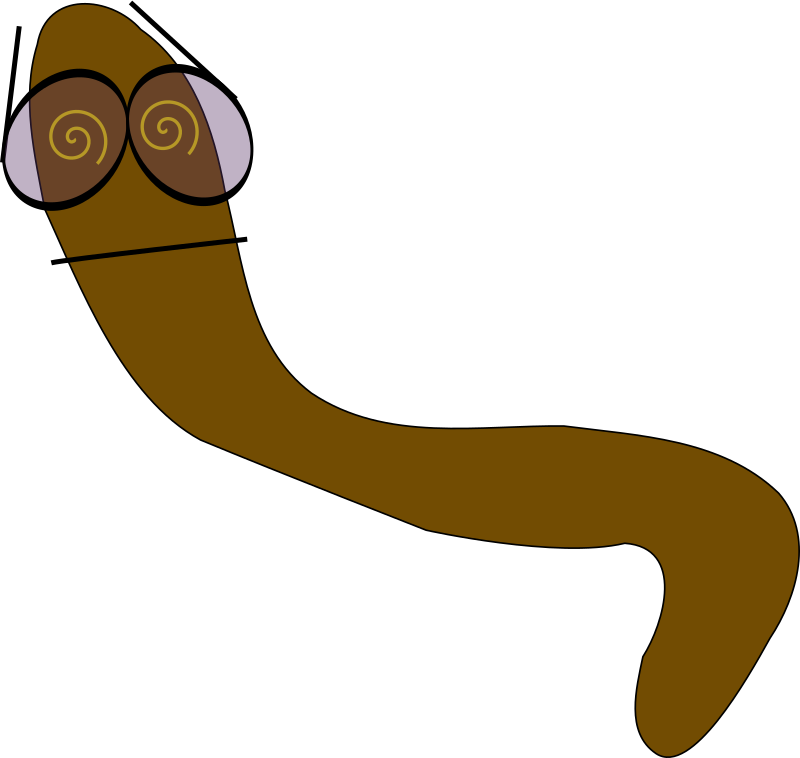 worm