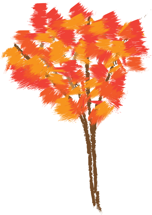 Autumn tree