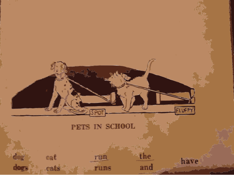 Pets in School