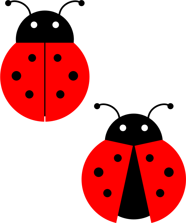 Ladybug