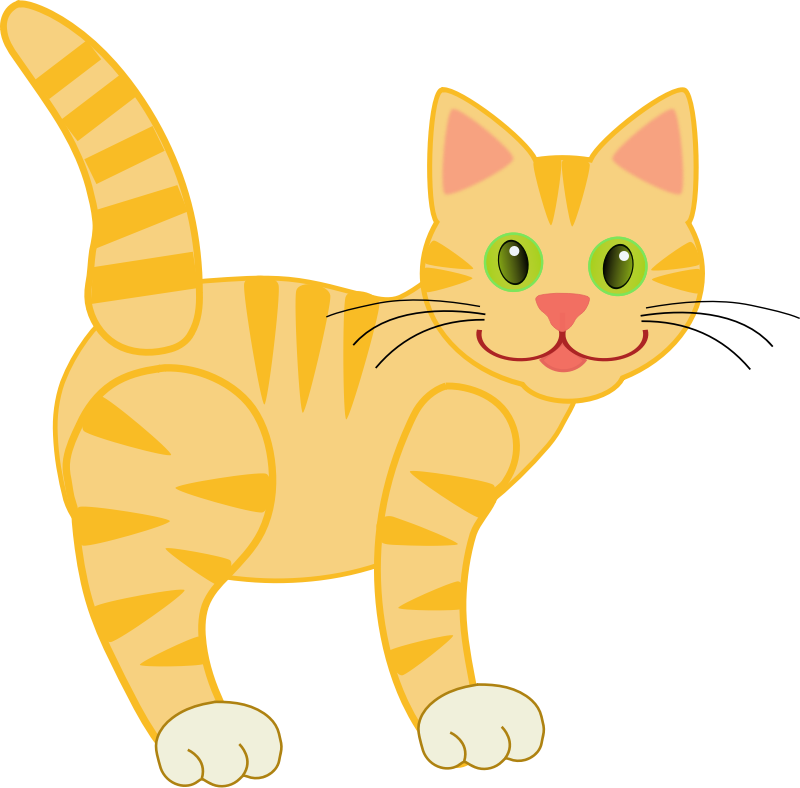 Yellow Tiger Cat