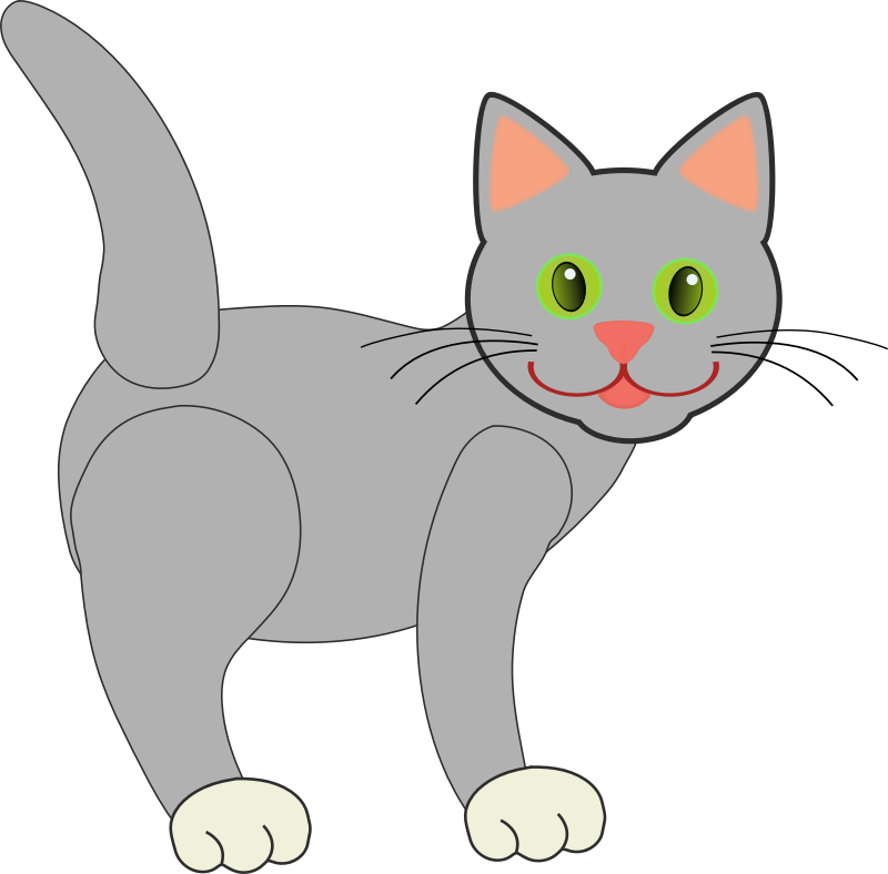 Gray Cat