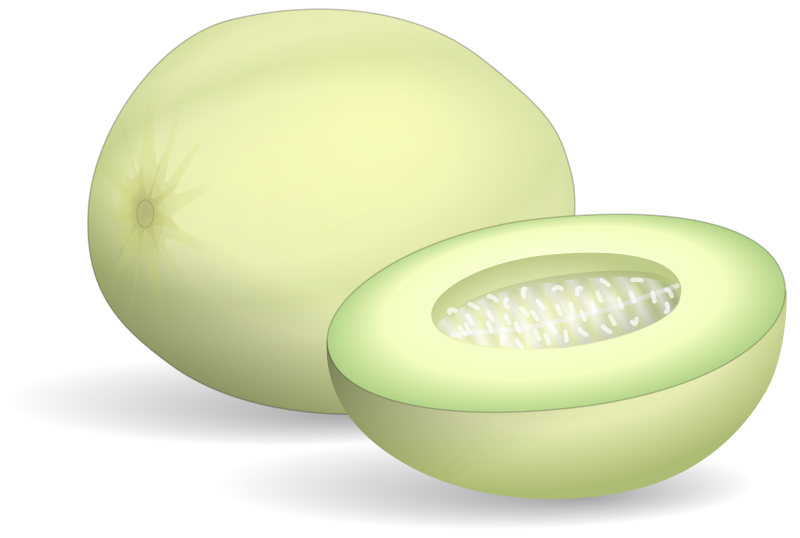 Honeydew Melon