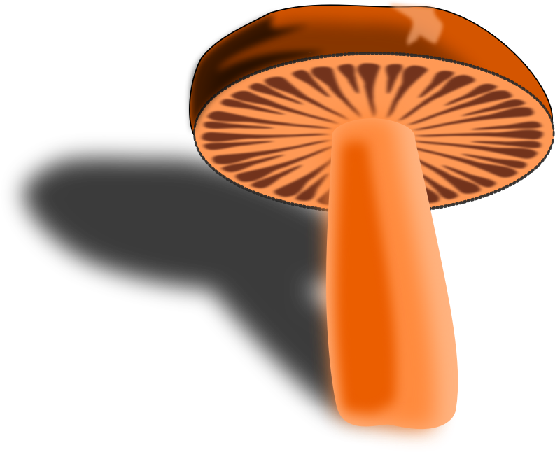 brown - orange mushroom