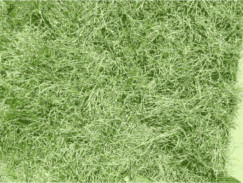 Grass texture