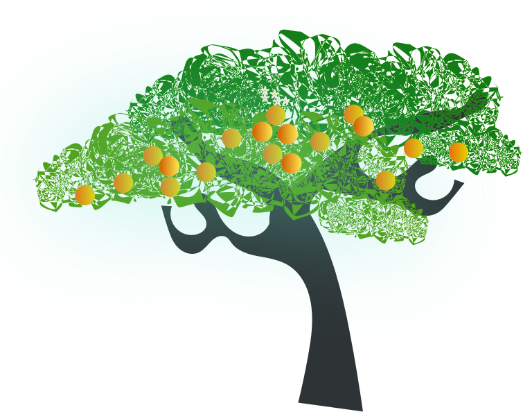 orange tree