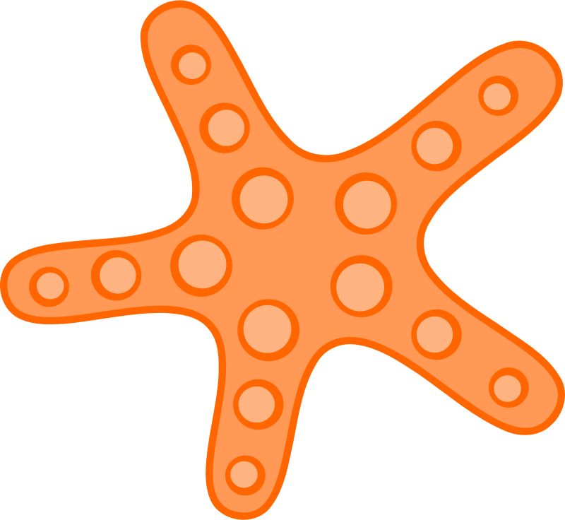 Orange Starfish