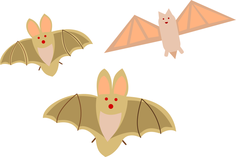 Bat