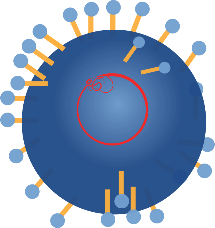 rna virus