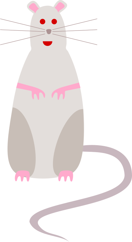 rat 1