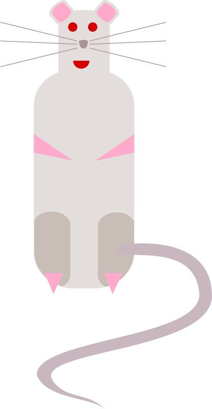 rat 3