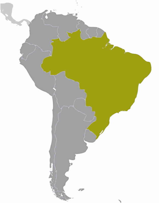 Brazil location