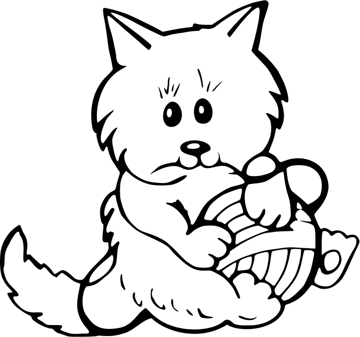 Kitty