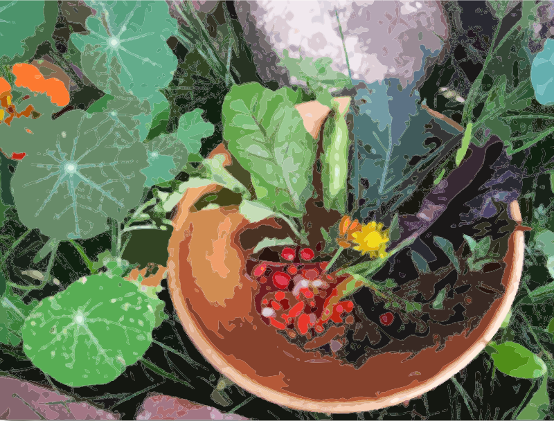 A bowl of flowers, berries and greens