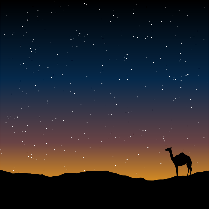 Camel Silhouette